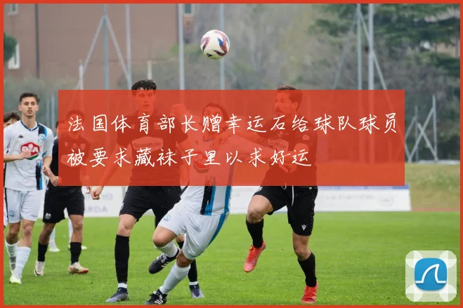 法国体育部长赠幸运石给球队球员被要求藏袜子里以求好运
